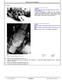 John Deere 843K Wheeled Feller Bunchers Repair Manual (TM11364) 1