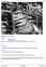 TM12339 - John Deere 180GLC (PIN: 1FF180GX__E020001-) iT4/S3B Excavator Service Repair Manual - 2