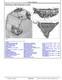 John Deere 316GR and 318G Skid Steer Loaders with Manual Controls (SN. from G298752) Operation and Test Manual (TM13856X19) 1