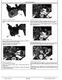 John Deere 5403, 5605 and 5705 Tractors (Brazilia) Technical Manual (TM4812) 2