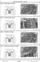 John Deere 1725NT 8 Row Stack Fold Planters Diagnostic Technical Service Manual (TM139219) - 3